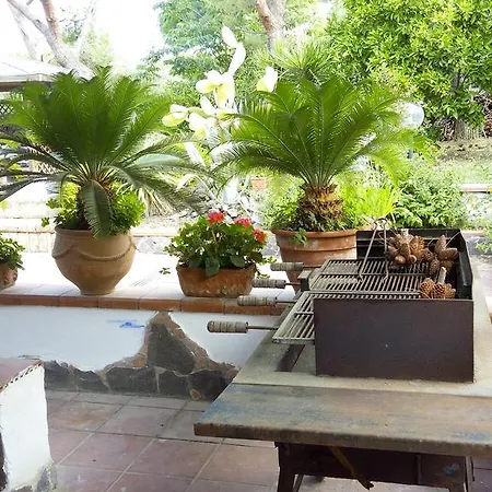 Siranita *