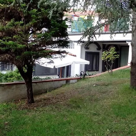 Siranita *